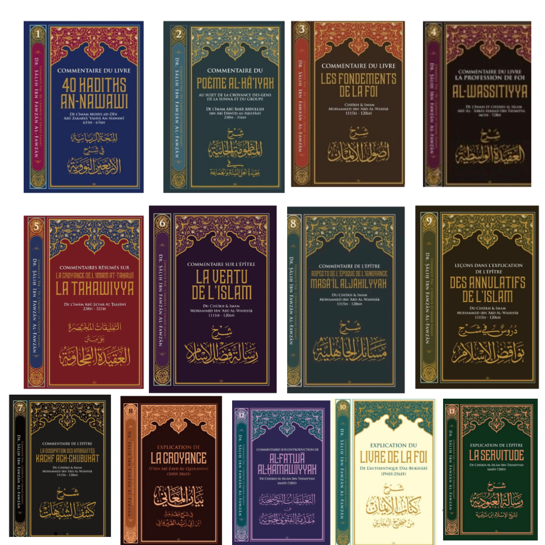 Pack - Les séries importantes (13 livres)